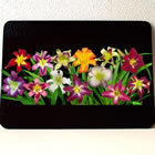 cutting board disp of daylilies 2